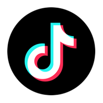 tiktok (2)